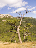 Fototapeta Do pokoju - mountain landscape