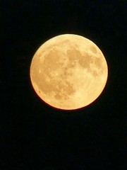 moon 30330