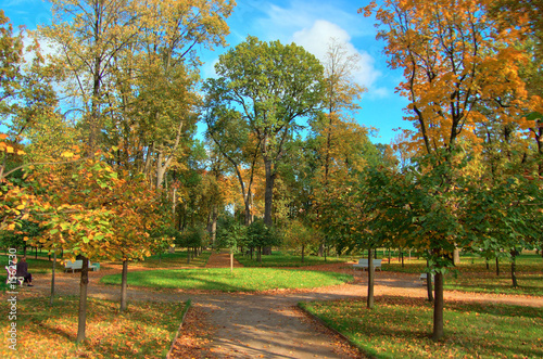 jesienny-krajobraz-zdjecie-przepieknego-parku-z-drzewami-o-pomaranczowych-i-zoltych-lisciach