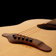 acoustic guitar body 1