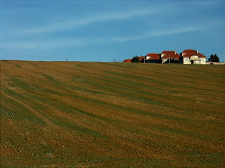 dorf beim feld