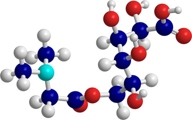 vitamin b15