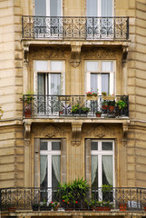 Wall Mural - paris windows