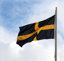 st david's flag