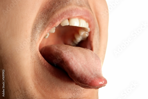 Cuadros en Lienzo mouth wide opened showin tongue