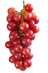 Wall Mural - grapes