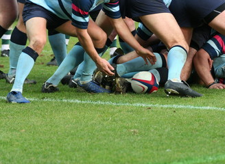 Poster - rugby