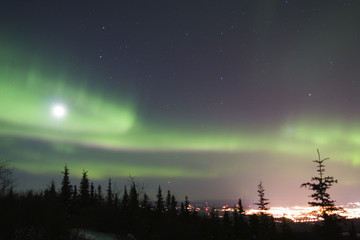 Wall Mural - full moon and active colorful aurora over fairbank