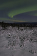 winter night landscape with northern lights