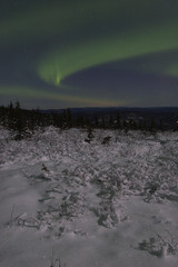 Wall Mural - winter night landscape with northern lights