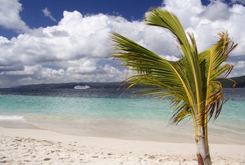 caribbean beach