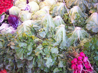 Wall Mural - radish and lettuces