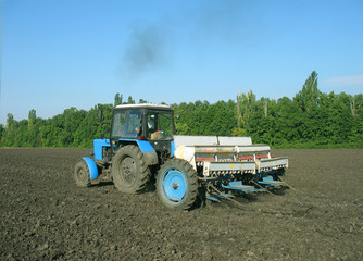  the tractor processes the ground under crop.