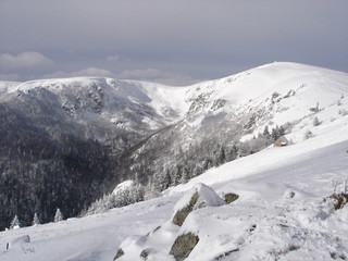 sommet du honeck (vosges)