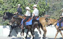  Mounted Police Patrol