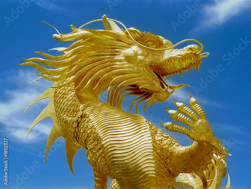Obraz w ramie golden dragon