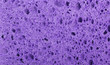 colorful purple sponge