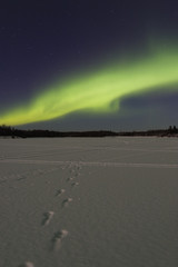 Wall Mural - bright aurora over frozen lake
