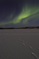 Wall Mural - northern lights activity over frozen lake