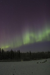 Wall Mural - vibrating auroral arc in the sky