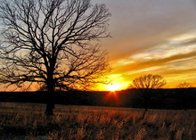 Oklahoma Winter Sunset 2