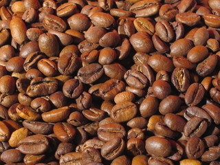 coffee grains