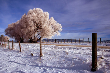 thunder city road - winter 2