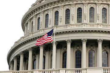 capitol flag