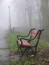 Red Bench In The Fog
