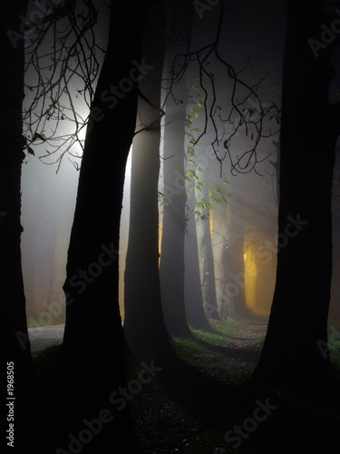 Foto-Lamellenvorhang - dawn and raylights (von .shock)