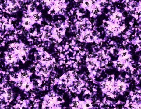 computer 2d 3d abstract graphic art background wallpaper