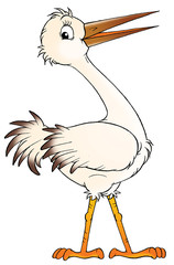 Sticker - white stork