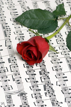 Rose Music 3