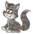 canvas print picture small grey kitten