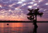 Fototapeta  - lake martin sunset