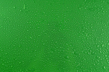 Water Drops On Green