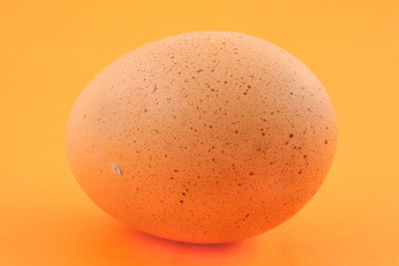 free-range egg with natural spots on orange backgr