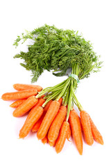 bunch of fresh carrots