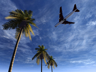 Wall Mural - plane flying 24