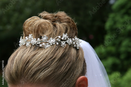 Juliste bride woman hair up do veil formal elegant style