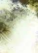 Leinwanddruck Bild grunge green textured background
