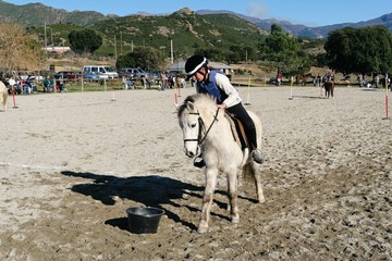 equitation