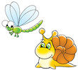 snail and dragon-fly
