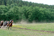 at the last turn. horse race