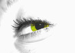 © cegli - yellow eye