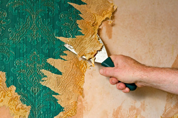 renovation project