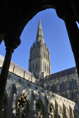 Wall Mural - view of salisbury cathedral through cloisters