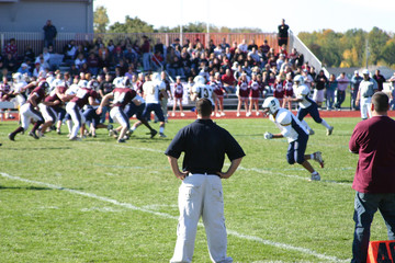 coach watching game