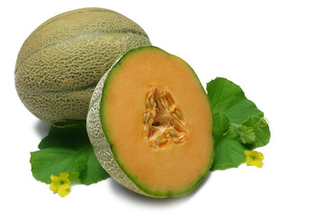 cantaloupe