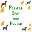spay and neuter poster